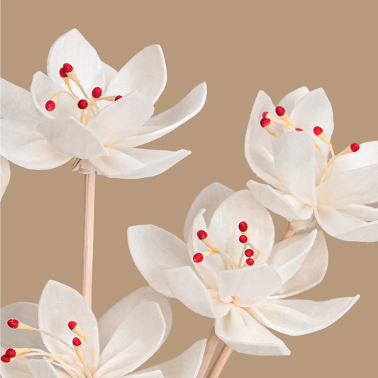 15 pzas Varillas para Difusor - Flor - 20cm - Difusor Sticks - Varitas de Sola para Difusores - Color Madera - Candle Craft