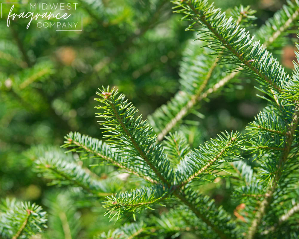 Fragancia Midwest Fragrance Company - Balsam Fir - Abeto de Bálsamo - Importado de USA
