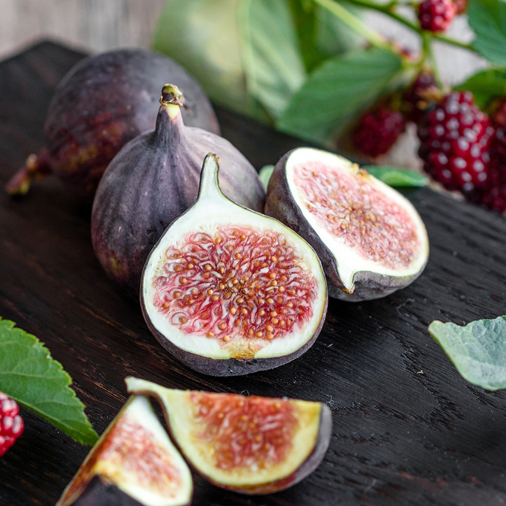 Fragancia Bramble Berry- Cranberry Fig - Arándano e higo - Importado de USA