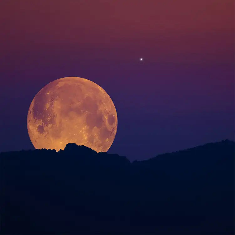 Fragancia Candle Science- Harvest Moon - Luna de Cosecha - Importado de USA