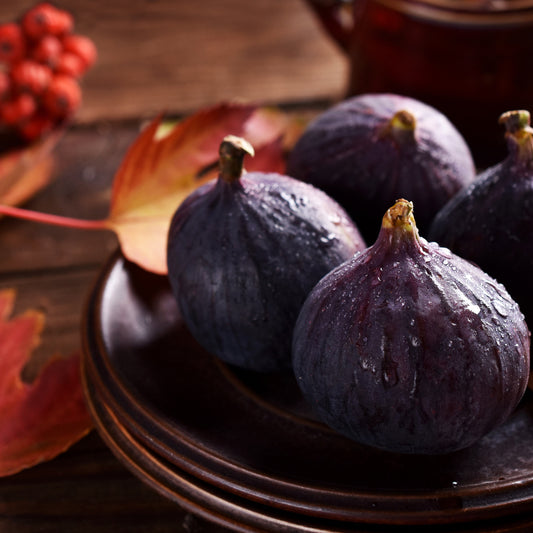 Fragancia Bramble Berry - Autumn Fig Harvest - Cosecha de Higos de Otoño - Importado de USA