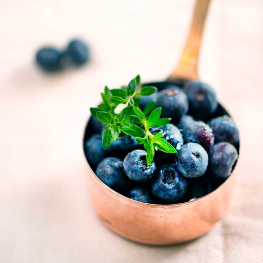Fragancia Bramble Berry - Blueberry Thyme - Arandano Azul y Tomillo - Importado de USA