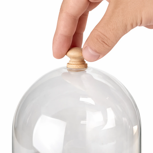 Campana de Vidrio Grande - Cúpula de Vidrio con Base de Madera - Cloche de Cristal para Velas - Candle Craft