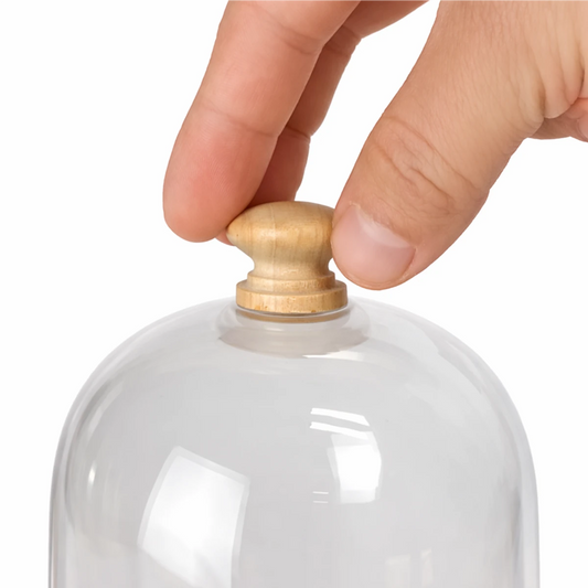 Campana de Vidrio Mediana - Cúpula de Vidrio con Base de Madera - Cloche de Cristal para Velas Pequeño - Candle Craft