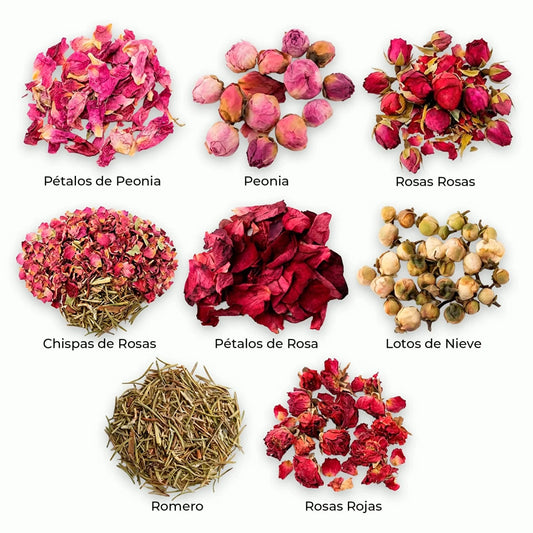 Colección Naturalezas Muertas – Pack de 16 Plantas Secas Decorativas Artísticas - Candle Craft