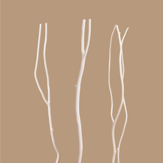 Varillas para Difusor - Ramas de Sauce - 25cm - Difusor Sticks - Varitas de Sauce para Difusores - Color Madera - Candle Craft