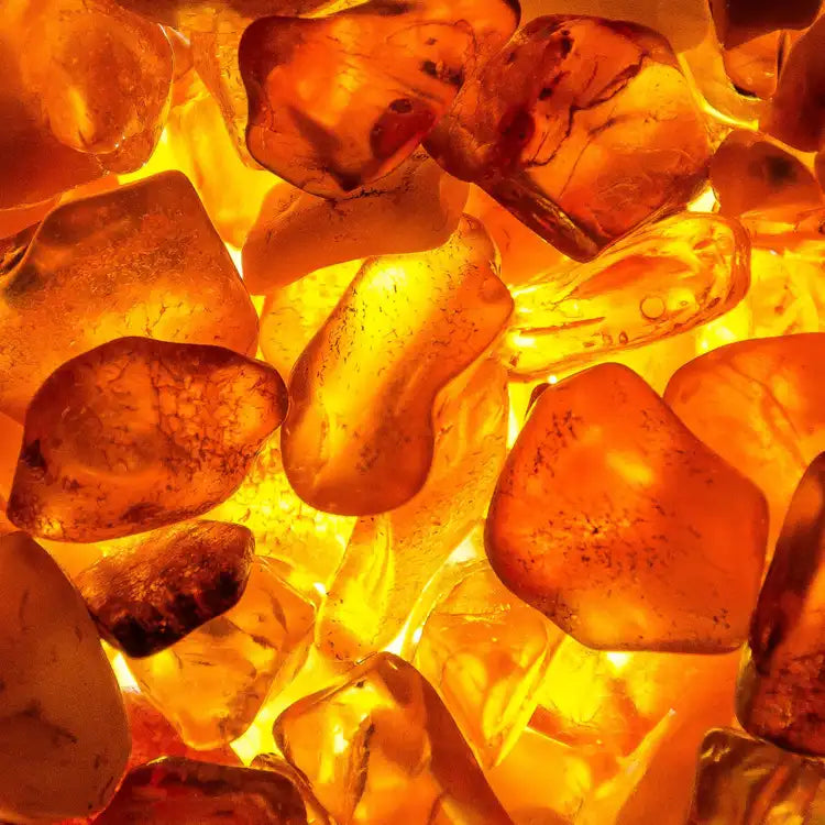 Fragancia Candle Science - Amber Element – Elemento de Ámbar - Importado de USA