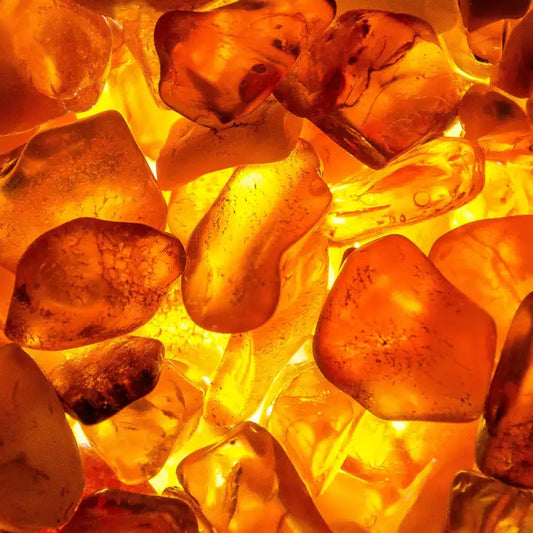 Fragancia Candle Science - Amber Element – Elemento de Ámbar - Importado de USA