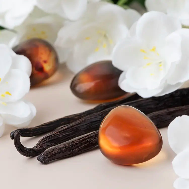Fragancia Candle Science - Ambered Vanille - Vainilla Ambarada - Importado de USA