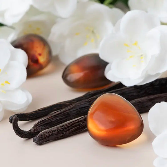Fragancia Candle Science - Ambered Vanille - Vainilla Ambarada - Importado de USA