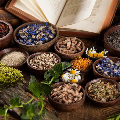 Fragancia Candle Science- Apothecary - Botica Antigua - Importado de USA