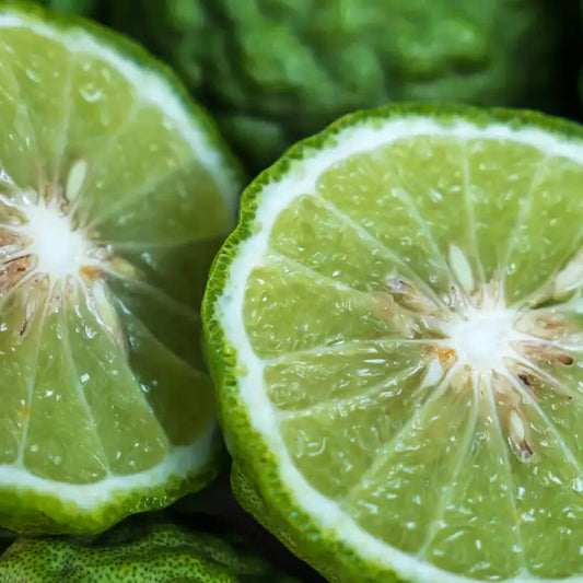 Fragancia Candle Science - Bergamot Element - Elemento de Bergamota - Importado de USA
