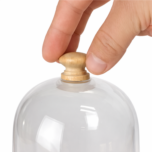 Campana de Vidrio Mediana - Cúpula de Vidrio con Base de Madera - Cloche de Cristal para Velas Pequeño