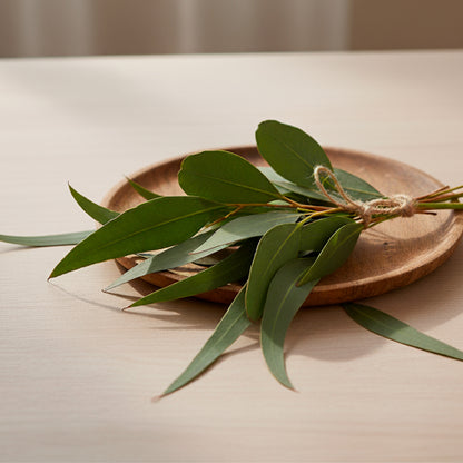 Aceite Esencial Candle Craft  – Eucalipto - Aroma Herbal Limpio Armonizante para Aromaterapia, Velas, Difusores y Bienestar en el Hogar