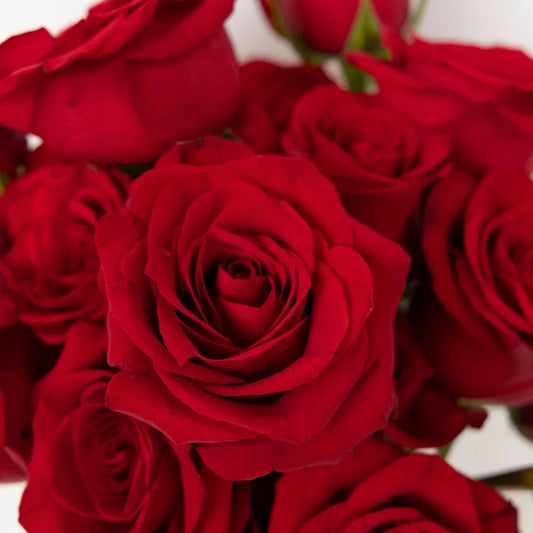 Fragancia Candle Craft – Fresh Cut Roses – Rosas Recién Cortadas - Importado de USA