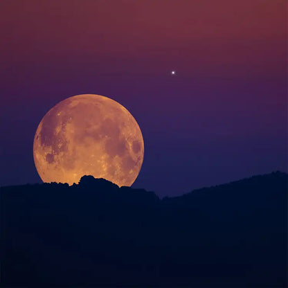 Fragancia Candle Science- Harvest Moon - Luna de Cosecha - Importado de USA