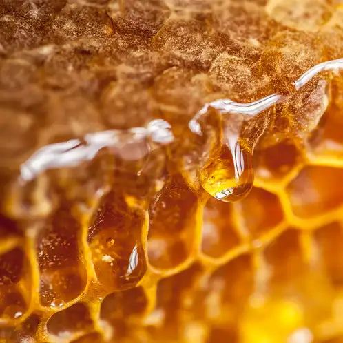 Fragancia Candle Science - Honey Element – Miel Elemental - Importado de USA