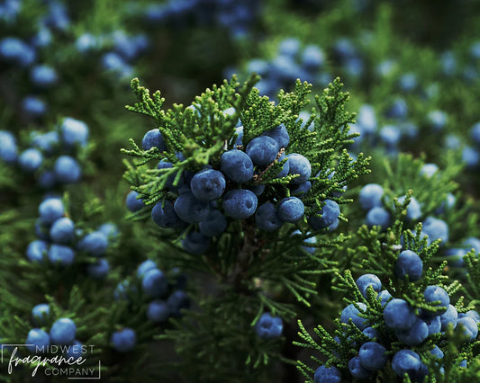 Fragancia Midwest Fragrance Company - Juniperberry + Pine - Enebro y Pino - Importado de USA