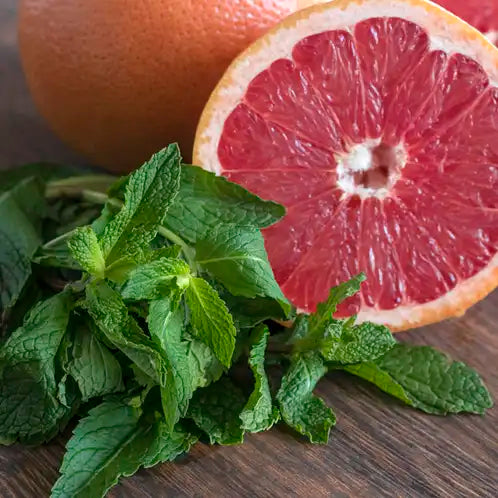 Fragancia Candle Science - Grapefruit and Mint – Toronja y Menta - Importado de USA