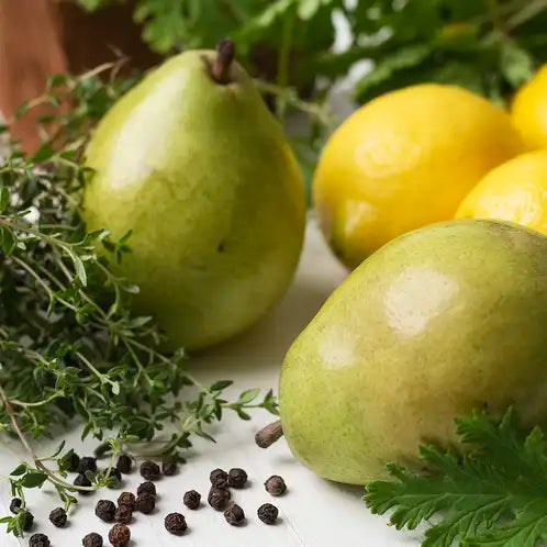 Fragancia Candle Science - Pear and Thyme Citronella - Citronela con Pera y Tomillo - Importado de USA