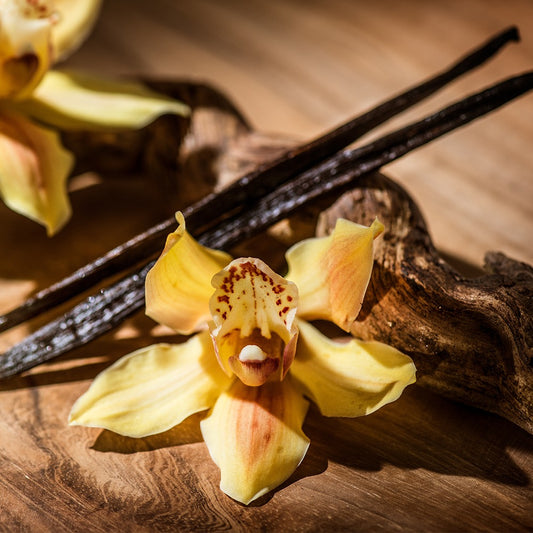 Fragancia Bramble Berry - Sandalwood Vanilla Fragrance Oil - Sándalo y Vainilla - Importado de USA