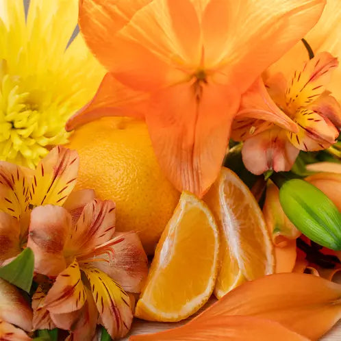 Fragancia Candle Science - Solar petals and tangerine – Petalos de sol y Mandarina - Importado de USA