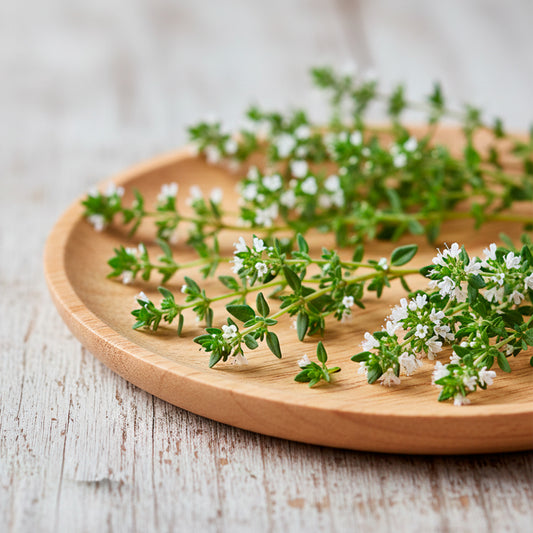 Aceite Esencial Candle Craft  – Tomillo Blanco - Aroma Herbal Fresco Armonizante para Aromaterapia, Velas, Difusores y Bienestar en el Hogar