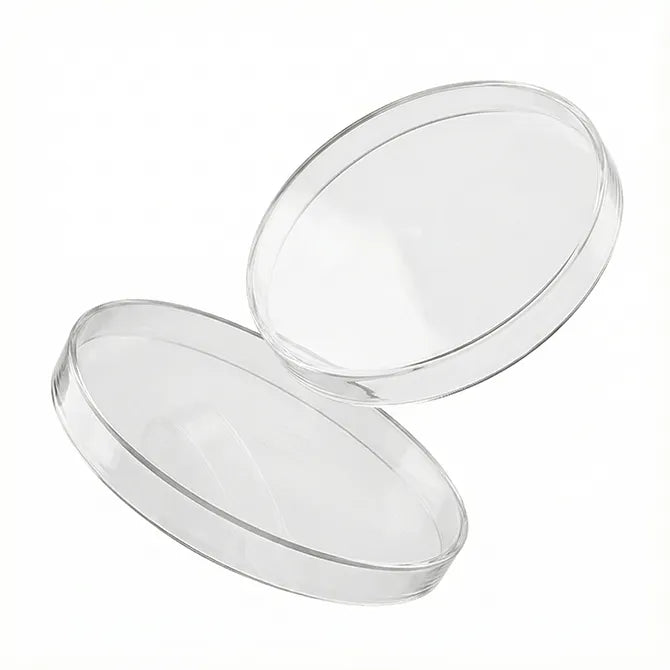 Tapa Plástica para Velas – PVC Protectora para Velas - Tamaño: M - Transparente