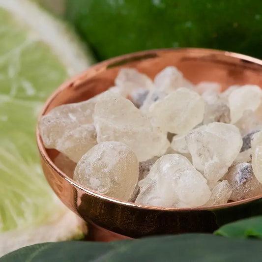 Fragancia Candle Science - White Copal and Bergamot - Copal Blanco y Bergamota - Importado de USA