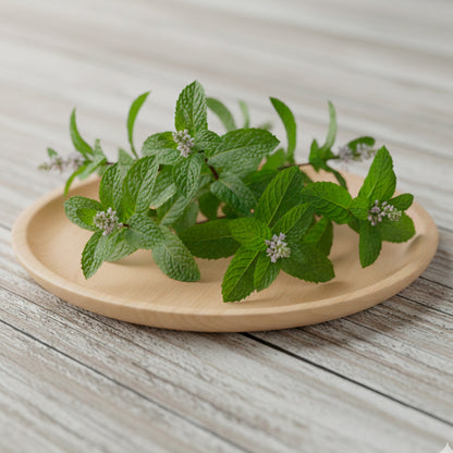 Aceite Esencial Candle Craft – Menta - Aroma Herbal Intenso Armonizante para Aromaterapia, Velas, Difusores y Bienestar en el Hogar - Candle Craft