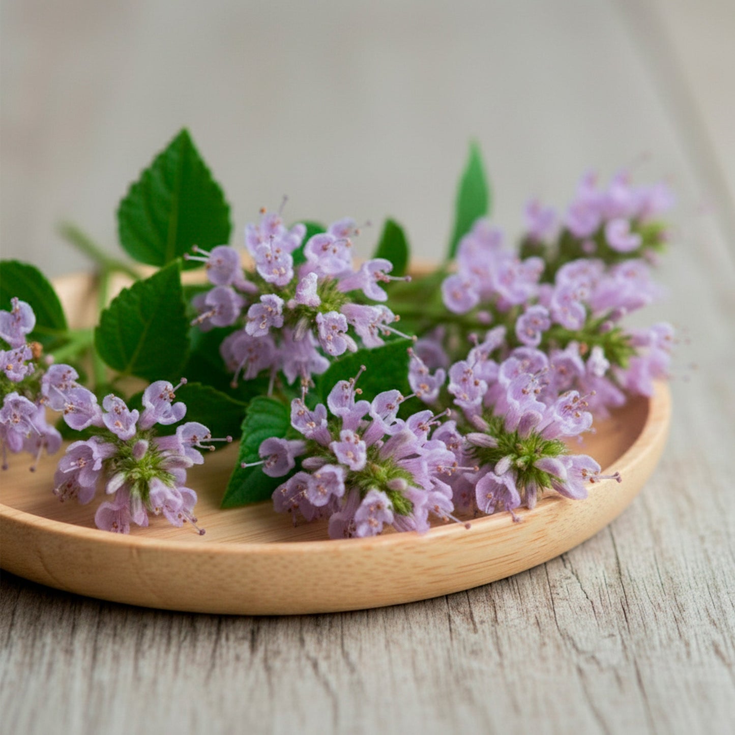 Aceite Esencial Candle Craft – Patchouli - Aroma Amaderado Cálido Armonizante para Aromaterapia, Velas, Difusores y Bienestar en el Hogar - Candle Craft