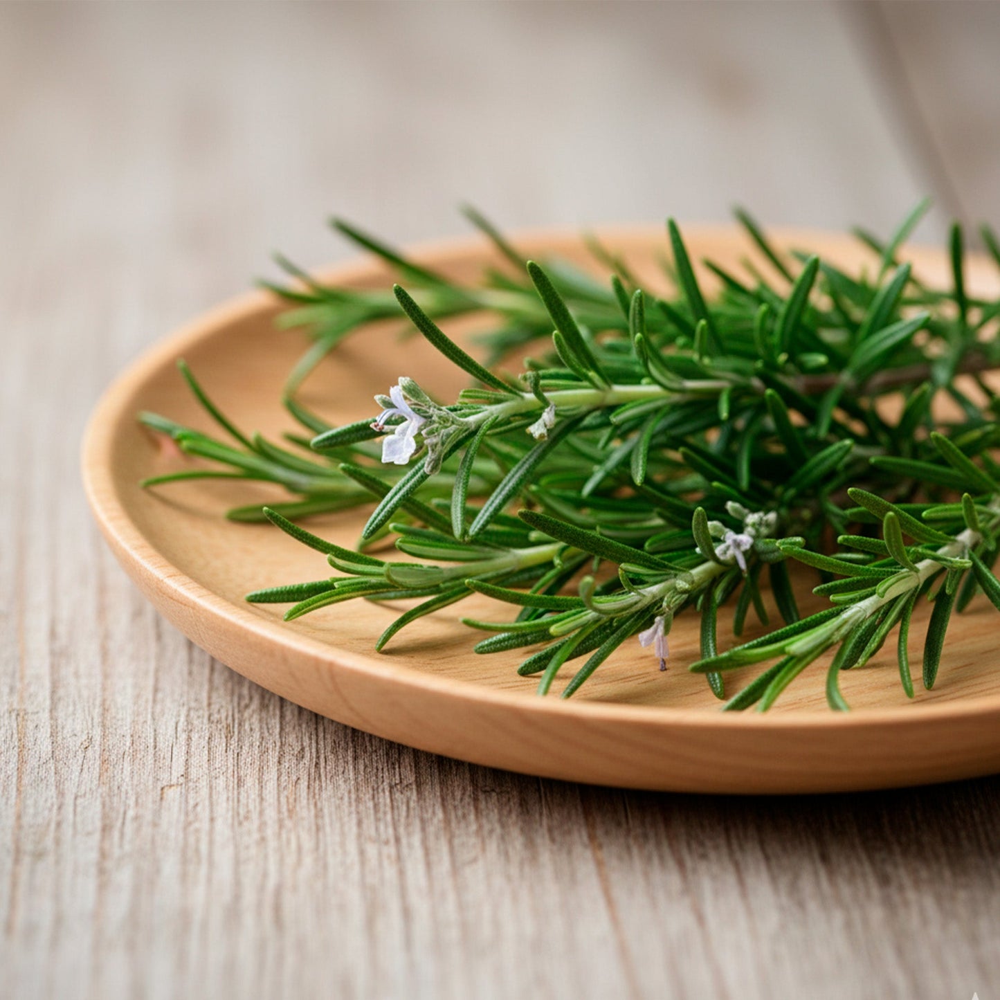 Aceite Esencial Candle Craft – Romero - Aroma Herbal Aromático Armonizante para Aromaterapia, Velas, Difusores y Bienestar en el Hogar - Candle Craft