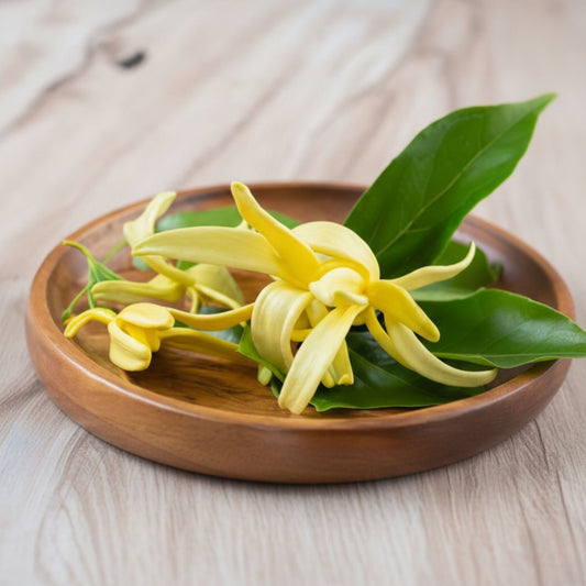 Aceite Esencial Candle Craft – Ylang Ylang - Aroma Floral Dulce Armonizante para Aromaterapia, Velas, Difusores y Bienestar en el Hogar - Candle Craft