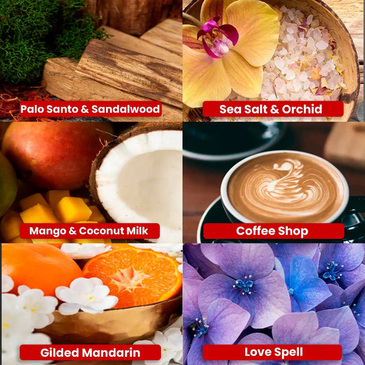 Candle Science Kit de Fragancias – 6 Aromas Más Vendidos – 6 Muestras de 30 g para Velas - Candle Craft