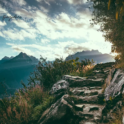 Fragancia Midwest Fragrance Company - Cedar Musk + Lavender - Almizcle de Cedro y Lavanda -  Importado de USA