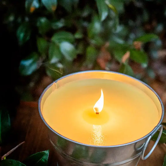 Fragancia Candle Science- Citronella - Citronela - Importado de USA