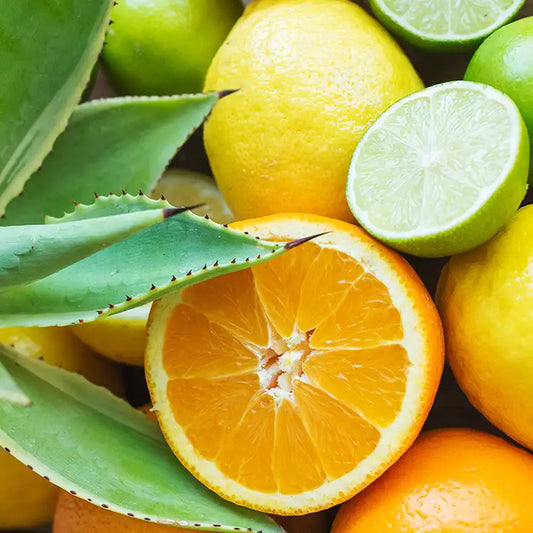 Fragancia Candle Science - Citrus Agave - Cítricos con Agave - Importado de USA