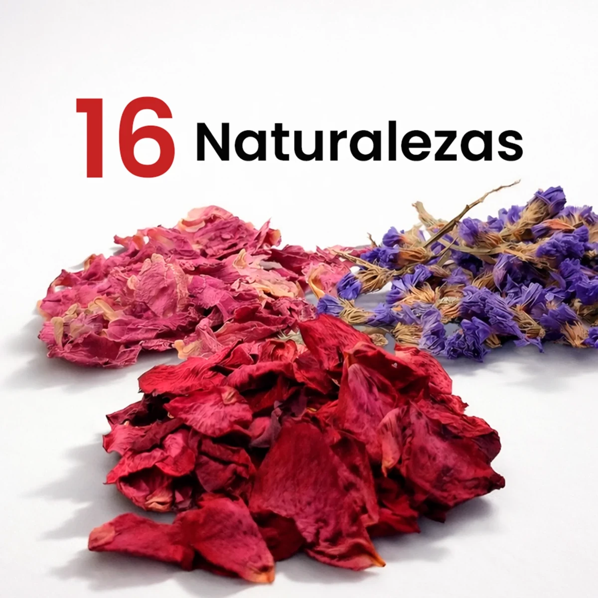 Colección Naturalezas Muertas – Pack de 16 Plantas Secas Decorativas Artísticas - Candle Craft