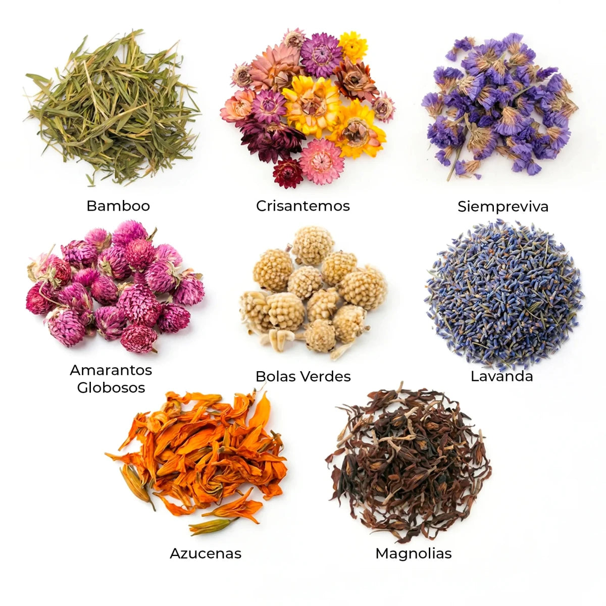 Colección Naturalezas Muertas – Pack de 16 Plantas Secas Decorativas Artísticas - Candle Craft