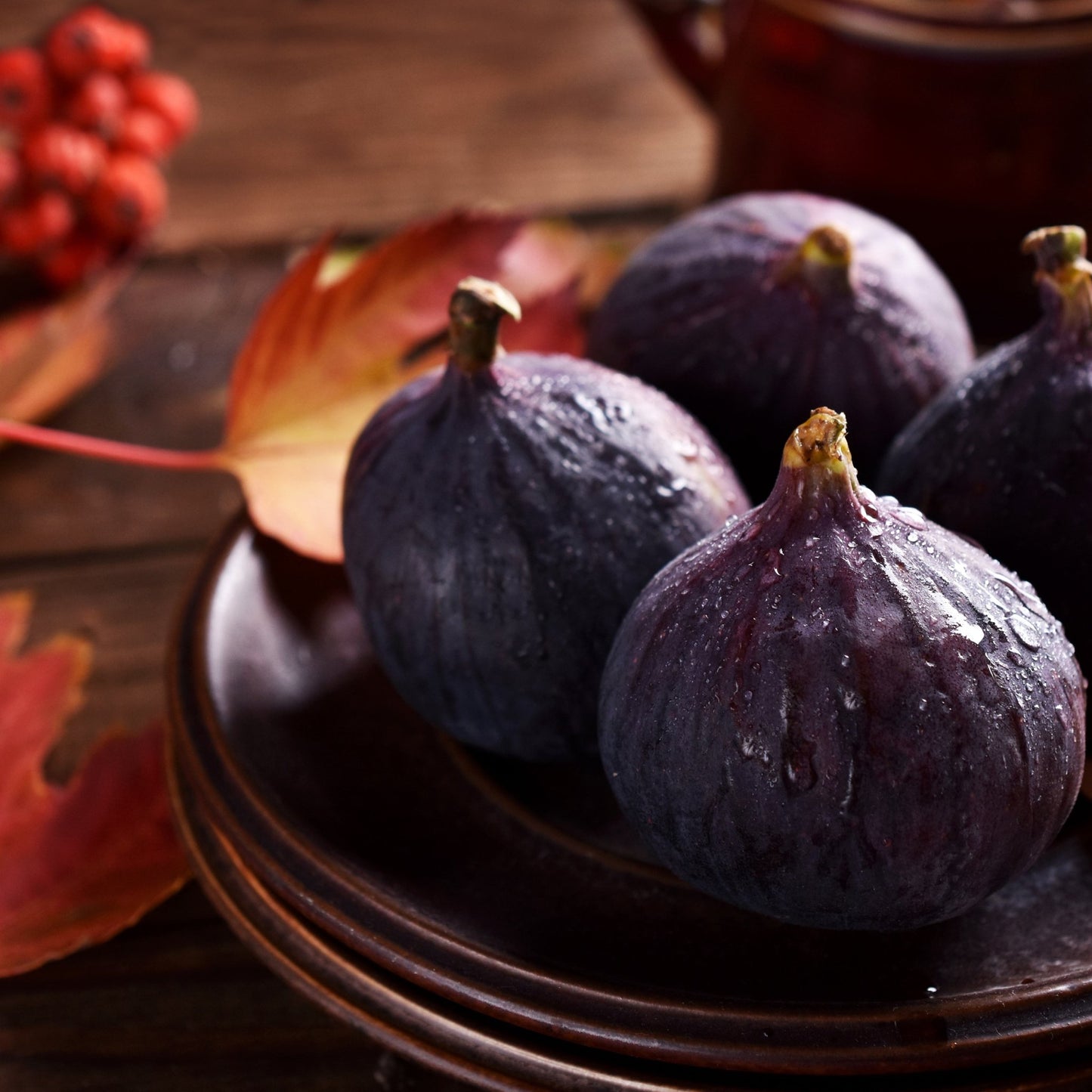 Fragancia Bramble Berry - Autumn Fig Harvest - Cosecha de Higos de Otoño - Importado de USA - Candle Craft