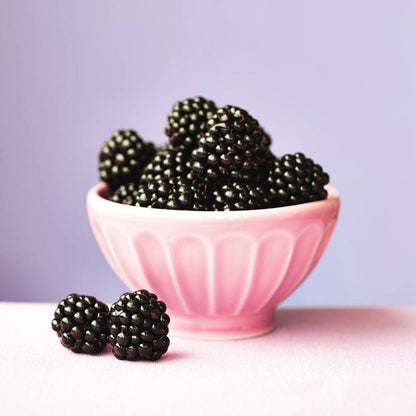 Fragancia Bramble Berry - Bramble Berry - EOL - Mora silvestre - Importado de USA - Candle Craft
