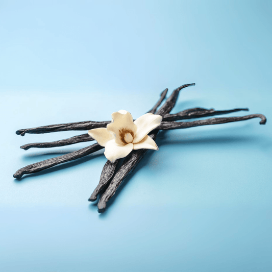 Fragancia Candle Craft - Vanilla Bean - Vaina de Vainilla - Importado de USA - Candle Craft