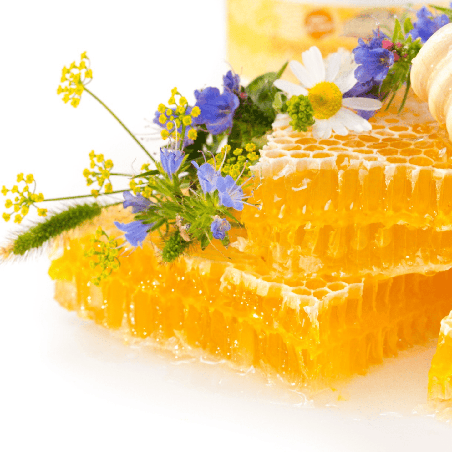 Fragancia Candle Craft - White Honey & Amber - Miel Blanca & Ámbar - Importado de USA - Candle Craft