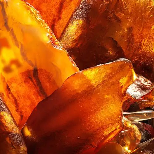 Fragancia Candle Science - Amber Noir - Ámbar Negro - Importado de USA - Candle Craft