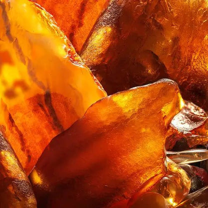 Fragancia Candle Science - Amber Noir - Ámbar Negro - Importado de USA - Candle Craft