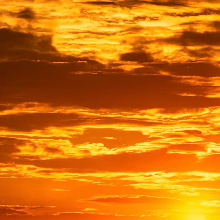 Fragancia Candle Science - Golden Hour - Hora Dorada - Importado de USA - Candle Craft