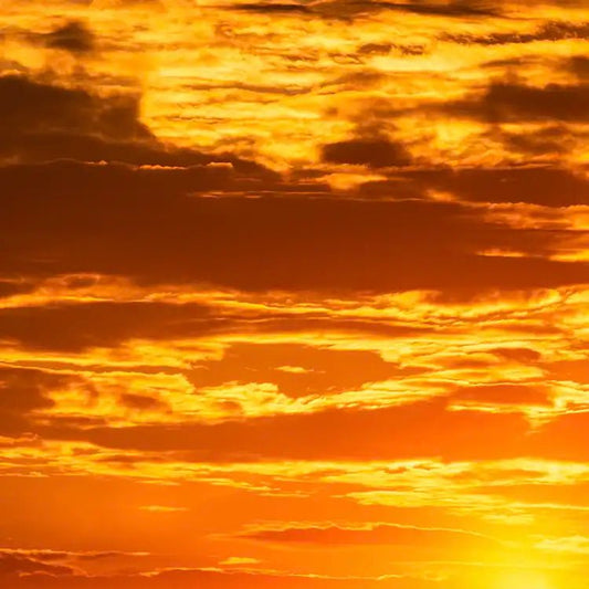 Fragancia Candle Science - Golden Hour - Hora Dorada - Importado de USA - Candle Craft