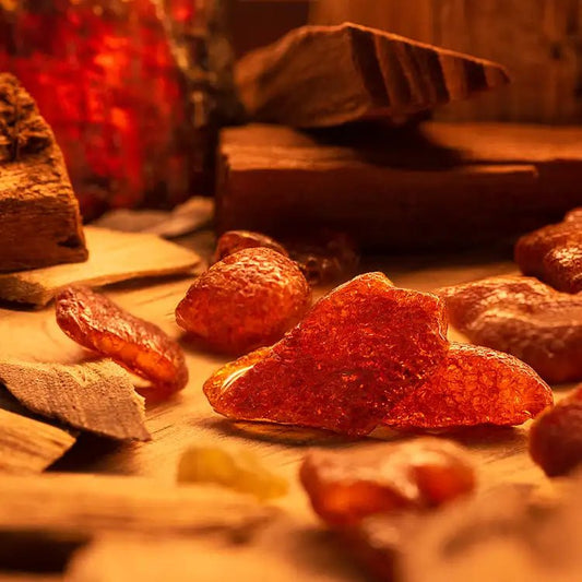 Fragancia Candle Science - Golden Santal - Sándalo Dorado - Importado de USA - Candle Craft