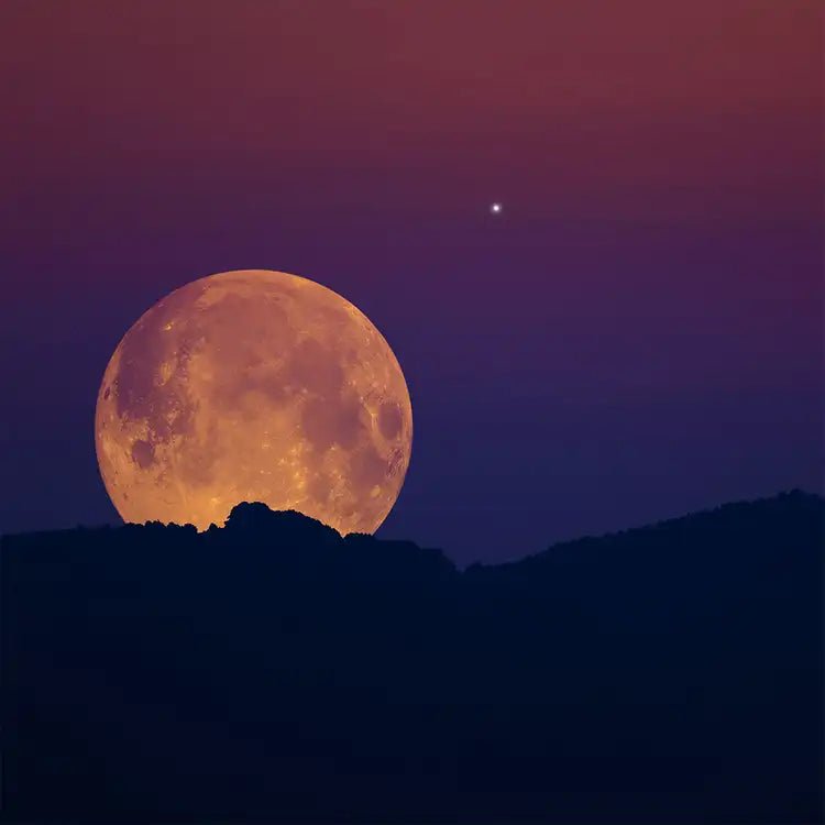 Fragancia Candle Science - Harvest Moon - Luna de Cosecha - Importado de USA - Candle Craft