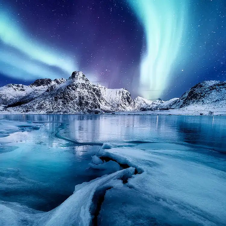 Fragancia Candle Science - Nordic Night - Noche Nórdica - Importado de USA - Candle Craft